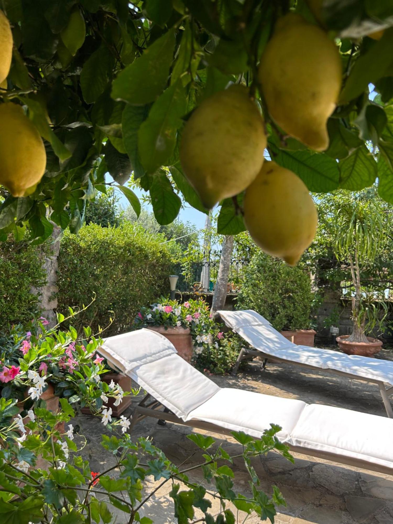 Maison Villa Angela SantʼAgata sui Due Golfi Екстериор снимка