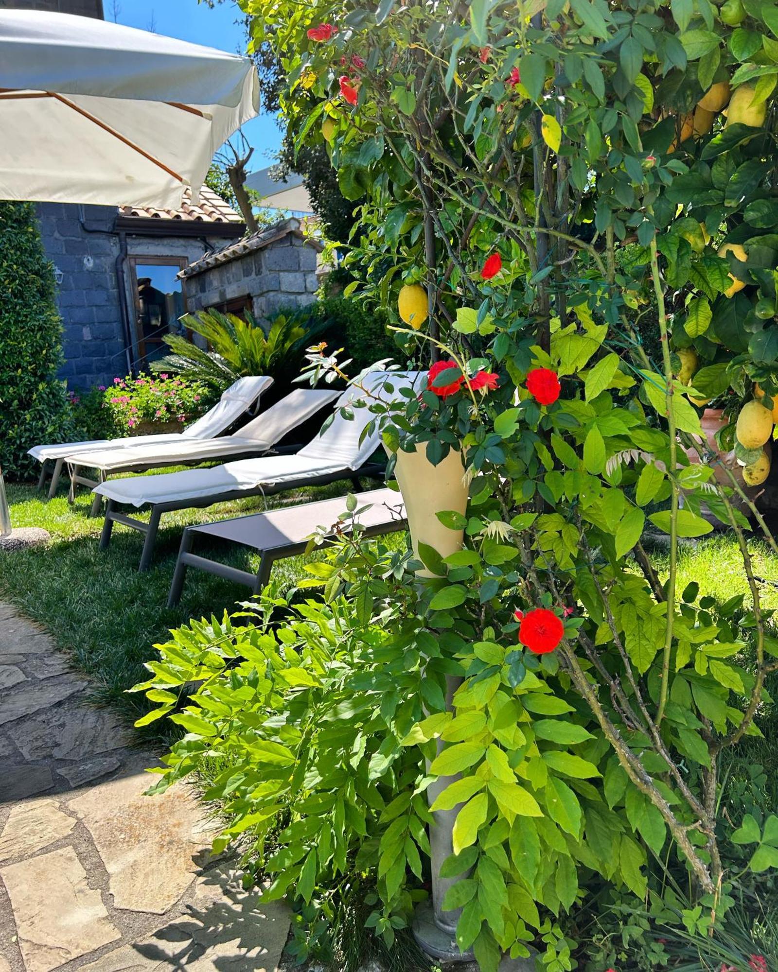 Maison Villa Angela SantʼAgata sui Due Golfi Екстериор снимка